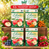 Pachet 4 × Suc De Mere 3L & Suc De Mere Cu Cătină 3L & Suc De Mere Cu Afine 3L & Suc De Mere Cu Merișoare 3L – Biodrinks, 100% Natural